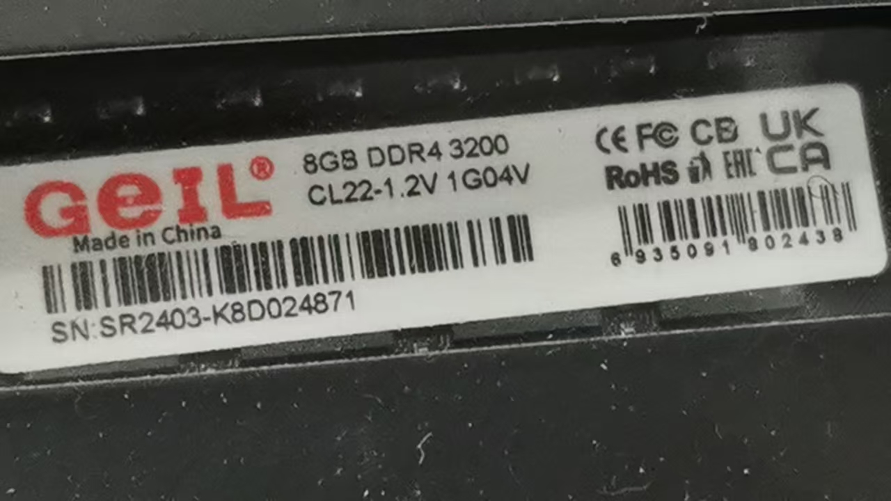 17243189986727.jpg